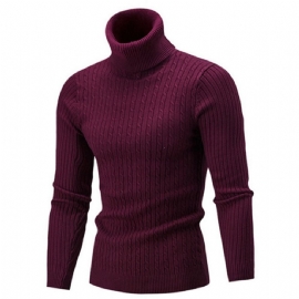 Solid Casual Genser Med Turtleneck
