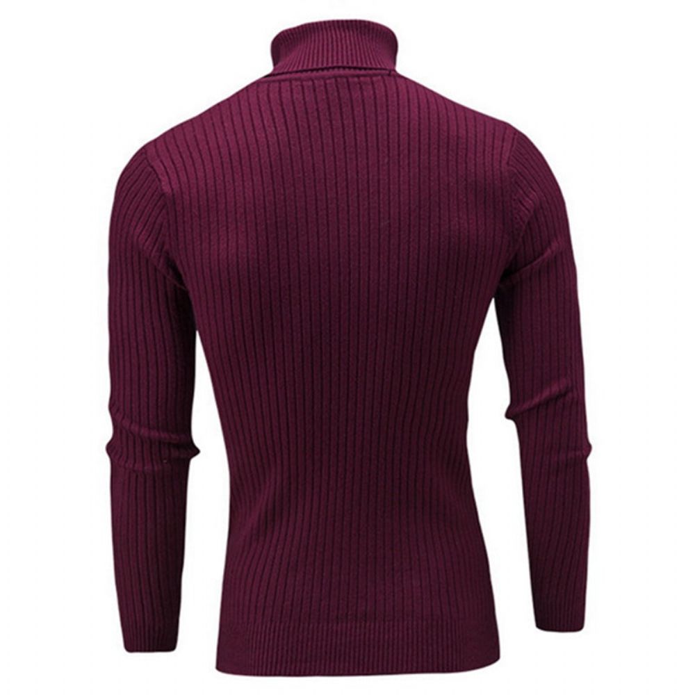Solid Casual Genser Med Turtleneck