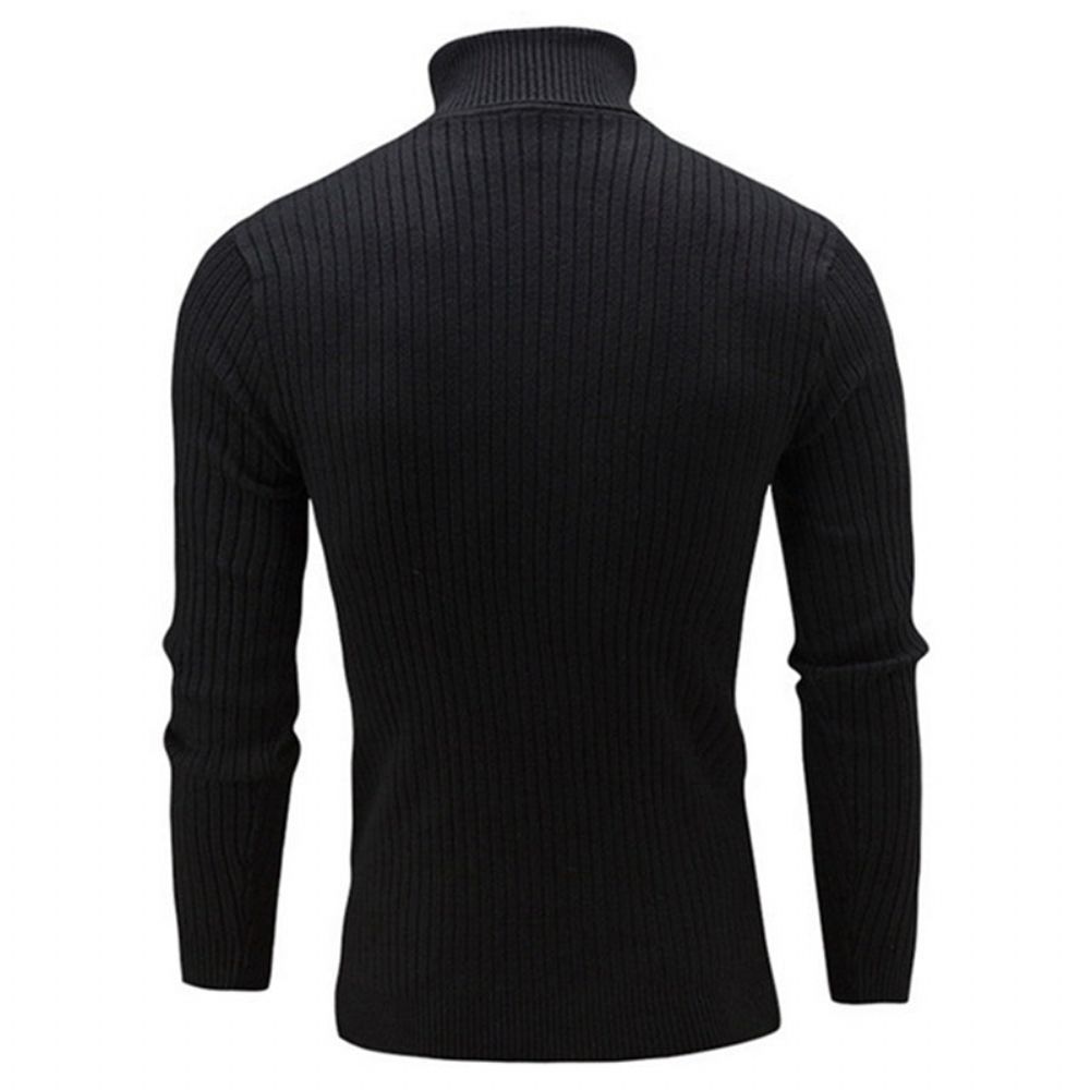 Solid Casual Genser Med Turtleneck