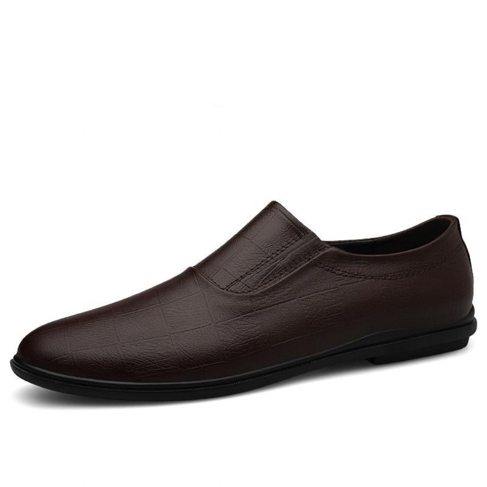 Slip Loafers I Skinn